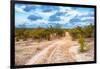 Awesome South Africa Collection - Savanna Landscape XIII-Philippe Hugonnard-Framed Photographic Print