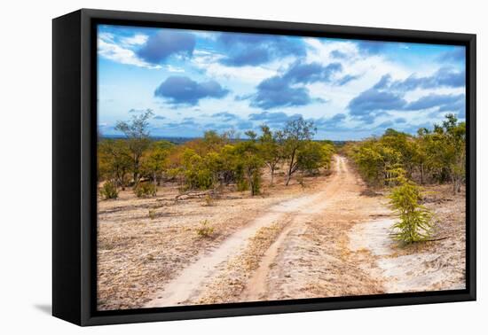 Awesome South Africa Collection - Savanna Landscape XIII-Philippe Hugonnard-Framed Stretched Canvas