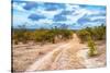 Awesome South Africa Collection - Savanna Landscape XIII-Philippe Hugonnard-Stretched Canvas