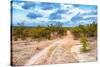 Awesome South Africa Collection - Savanna Landscape XIII-Philippe Hugonnard-Stretched Canvas