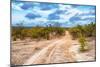 Awesome South Africa Collection - Savanna Landscape XIII-Philippe Hugonnard-Mounted Photographic Print
