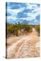 Awesome South Africa Collection - Savanna Landscape XIV-Philippe Hugonnard-Stretched Canvas