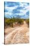 Awesome South Africa Collection - Savanna Landscape XIV-Philippe Hugonnard-Stretched Canvas