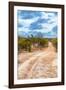 Awesome South Africa Collection - Savanna Landscape XIV-Philippe Hugonnard-Framed Photographic Print
