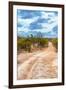 Awesome South Africa Collection - Savanna Landscape XIV-Philippe Hugonnard-Framed Photographic Print