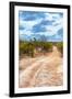 Awesome South Africa Collection - Savanna Landscape XIV-Philippe Hugonnard-Framed Photographic Print