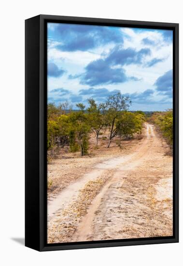 Awesome South Africa Collection - Savanna Landscape XIV-Philippe Hugonnard-Framed Stretched Canvas