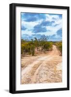 Awesome South Africa Collection - Savanna Landscape XIV-Philippe Hugonnard-Framed Photographic Print