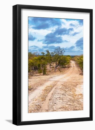 Awesome South Africa Collection - Savanna Landscape XIV-Philippe Hugonnard-Framed Photographic Print