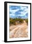 Awesome South Africa Collection - Savanna Landscape XIV-Philippe Hugonnard-Framed Photographic Print