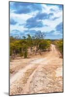 Awesome South Africa Collection - Savanna Landscape XIV-Philippe Hugonnard-Mounted Photographic Print