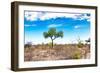 Awesome South Africa Collection - Savanna Landscape XV-Philippe Hugonnard-Framed Photographic Print