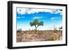 Awesome South Africa Collection - Savanna Landscape XV-Philippe Hugonnard-Framed Photographic Print