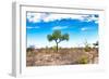 Awesome South Africa Collection - Savanna Landscape XV-Philippe Hugonnard-Framed Photographic Print