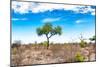 Awesome South Africa Collection - Savanna Landscape XV-Philippe Hugonnard-Mounted Photographic Print