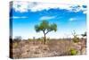 Awesome South Africa Collection - Savanna Landscape XV-Philippe Hugonnard-Stretched Canvas