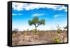 Awesome South Africa Collection - Savanna Landscape XV-Philippe Hugonnard-Framed Stretched Canvas