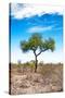 Awesome South Africa Collection - Savanna Landscape XVI-Philippe Hugonnard-Stretched Canvas