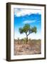 Awesome South Africa Collection - Savanna Landscape XVI-Philippe Hugonnard-Framed Photographic Print