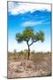 Awesome South Africa Collection - Savanna Landscape XVI-Philippe Hugonnard-Mounted Photographic Print