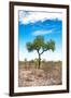 Awesome South Africa Collection - Savanna Landscape XVI-Philippe Hugonnard-Framed Photographic Print