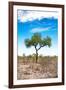 Awesome South Africa Collection - Savanna Landscape XVI-Philippe Hugonnard-Framed Photographic Print