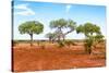 Awesome South Africa Collection - Savanna Landscape XVII-Philippe Hugonnard-Stretched Canvas
