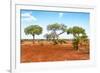 Awesome South Africa Collection - Savanna Landscape XVII-Philippe Hugonnard-Framed Photographic Print