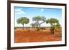 Awesome South Africa Collection - Savanna Landscape XVII-Philippe Hugonnard-Framed Photographic Print