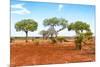 Awesome South Africa Collection - Savanna Landscape XVII-Philippe Hugonnard-Mounted Photographic Print