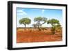 Awesome South Africa Collection - Savanna Landscape XVII-Philippe Hugonnard-Framed Photographic Print