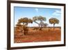 Awesome South Africa Collection - Savanna Landscape XVIII-Philippe Hugonnard-Framed Photographic Print