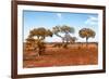 Awesome South Africa Collection - Savanna Landscape XVIII-Philippe Hugonnard-Framed Photographic Print