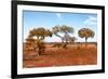 Awesome South Africa Collection - Savanna Landscape XVIII-Philippe Hugonnard-Framed Photographic Print