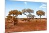 Awesome South Africa Collection - Savanna Landscape XVIII-Philippe Hugonnard-Mounted Photographic Print