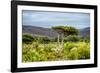 Awesome South Africa Collection - Savanna Landscape XX-Philippe Hugonnard-Framed Photographic Print
