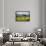 Awesome South Africa Collection - Savanna Landscape XX-Philippe Hugonnard-Framed Photographic Print displayed on a wall