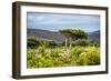 Awesome South Africa Collection - Savanna Landscape XX-Philippe Hugonnard-Framed Photographic Print