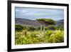 Awesome South Africa Collection - Savanna Landscape XX-Philippe Hugonnard-Framed Photographic Print