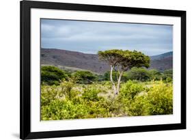 Awesome South Africa Collection - Savanna Landscape XX-Philippe Hugonnard-Framed Photographic Print