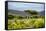 Awesome South Africa Collection - Savanna Landscape XX-Philippe Hugonnard-Framed Stretched Canvas