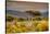 Awesome South Africa Collection - Savanna Landscape XXI-Philippe Hugonnard-Stretched Canvas