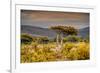 Awesome South Africa Collection - Savanna Landscape XXI-Philippe Hugonnard-Framed Photographic Print