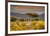 Awesome South Africa Collection - Savanna Landscape XXI-Philippe Hugonnard-Framed Photographic Print