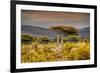 Awesome South Africa Collection - Savanna Landscape XXI-Philippe Hugonnard-Framed Photographic Print