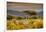 Awesome South Africa Collection - Savanna Landscape XXI-Philippe Hugonnard-Framed Photographic Print