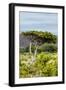 Awesome South Africa Collection - Savanna Landscape XXII-Philippe Hugonnard-Framed Photographic Print