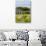 Awesome South Africa Collection - Savanna Landscape XXII-Philippe Hugonnard-Photographic Print displayed on a wall