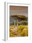 Awesome South Africa Collection - Savanna Landscape XXIII-Philippe Hugonnard-Framed Photographic Print