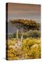 Awesome South Africa Collection - Savanna Landscape XXIII-Philippe Hugonnard-Stretched Canvas